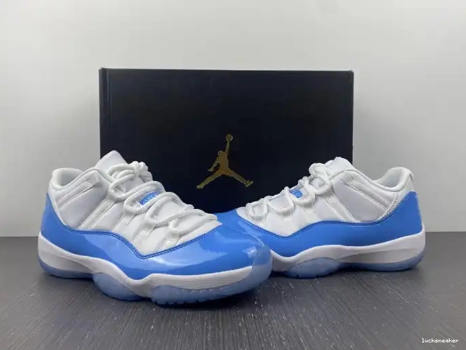Rep LUCY Release